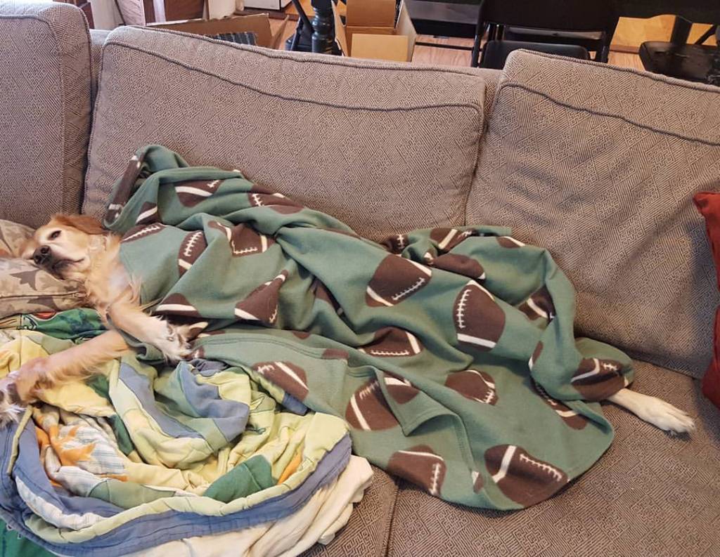 14352445_10210141831119774_1405090259718560572_o